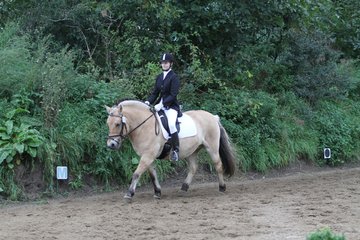 Bild 405 - WBO-Turnier am 18.9.11